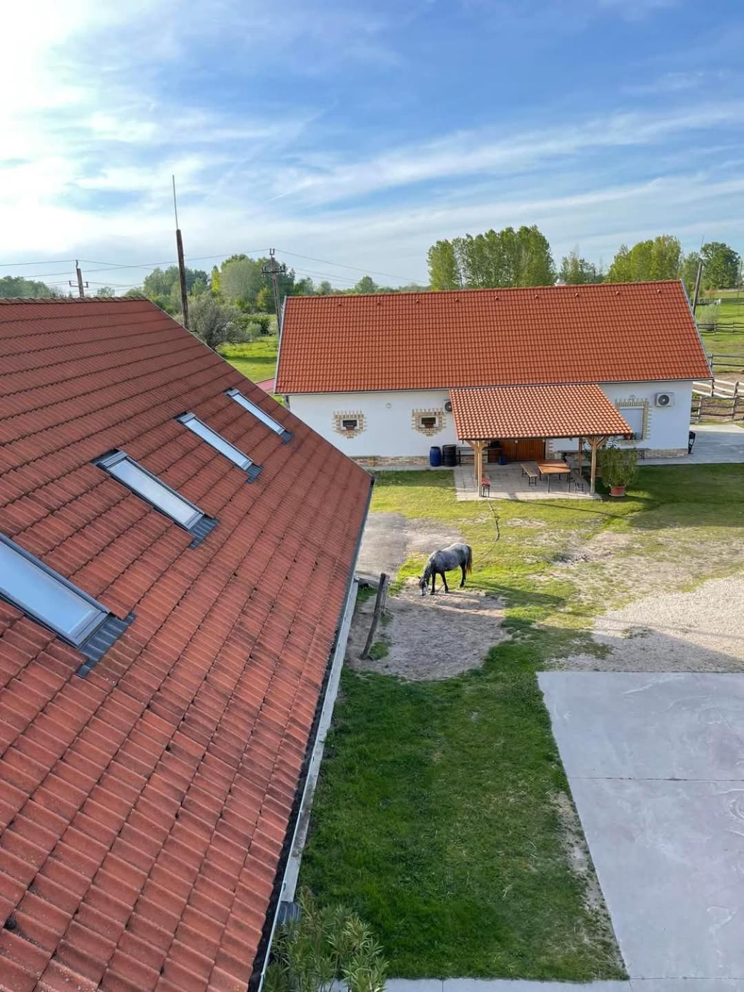 Istvan Lovas Tanya Kiskorös Exterior foto